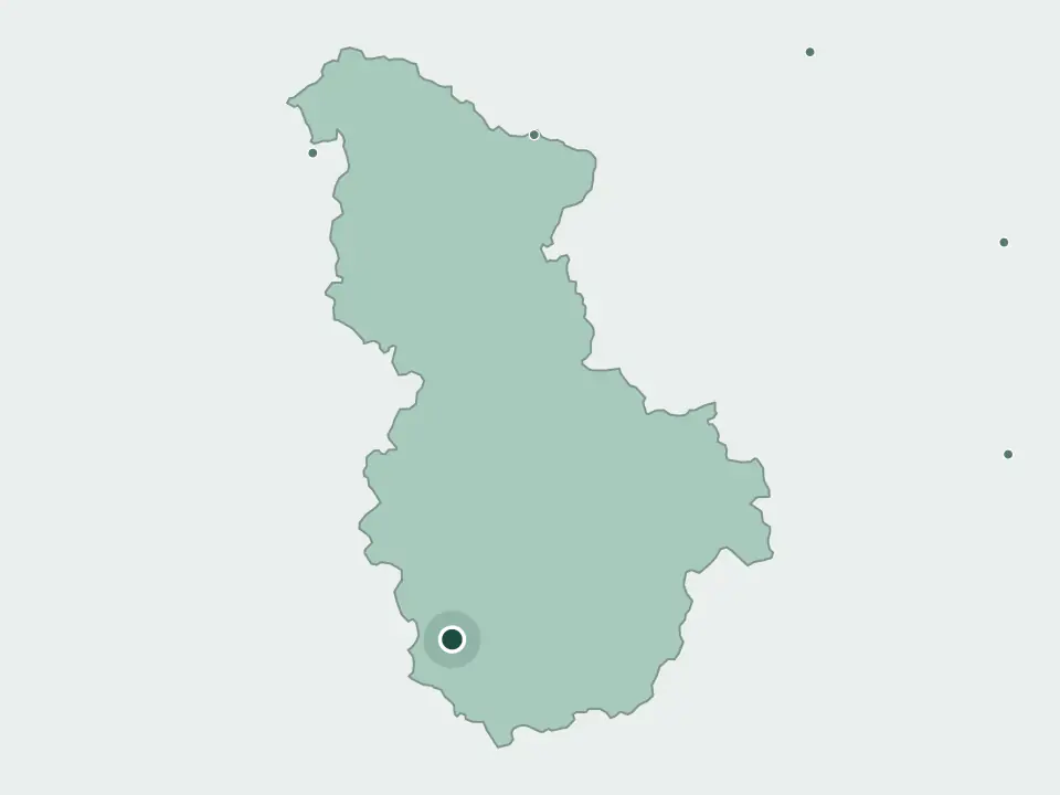 세종특별자치시 대전공원묘원 위치 지도