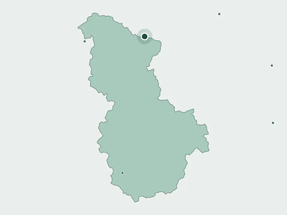 세종특별자치시 세종시공설묘지 위치 지도